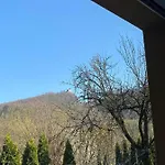 Goscinne Kurza Zagroda