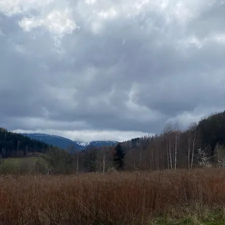 Апартаменты Goscinne Kurza Zagroda *