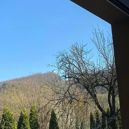 Goscinne Kurza Zagroda