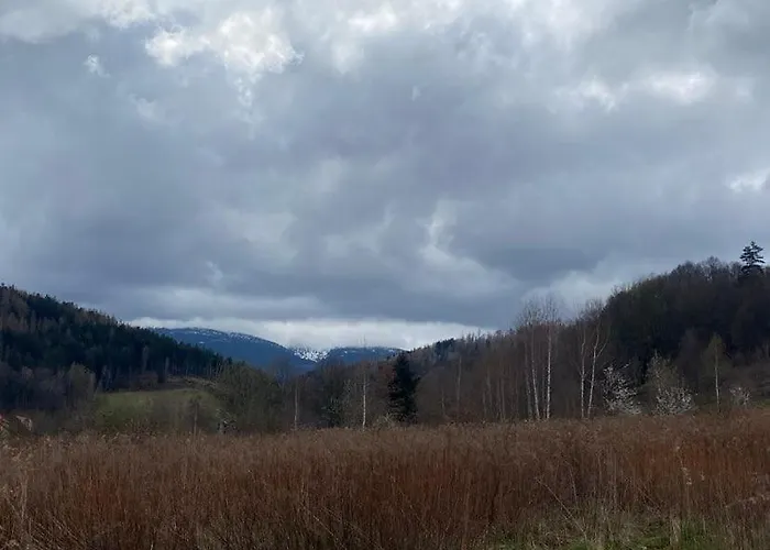 Apartment Goscinne Kurza Zagroda *