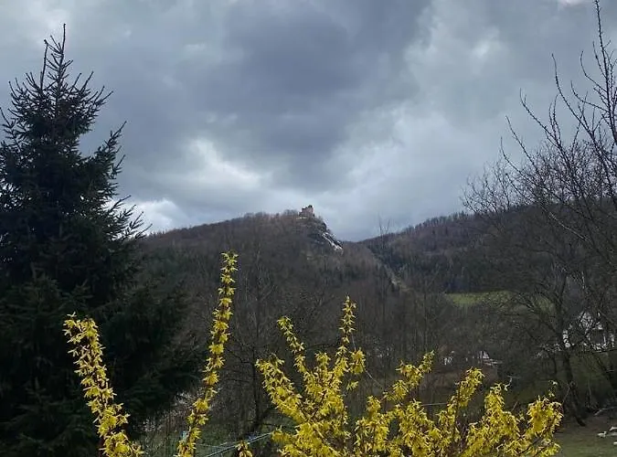 Goscinne Kurza Zagroda 公寓 *