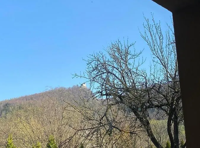 Goscinne Kurza Zagroda